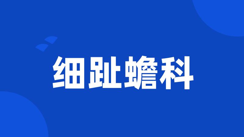 细趾蟾科