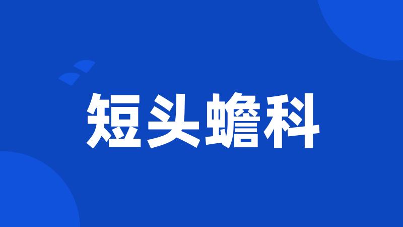 短头蟾科