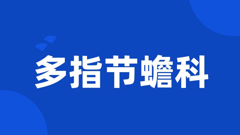 多指节蟾科