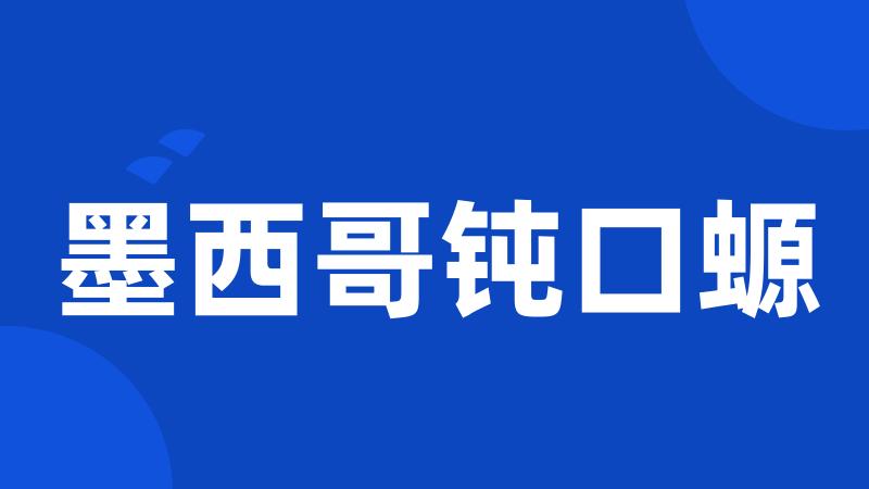 墨西哥钝口螈