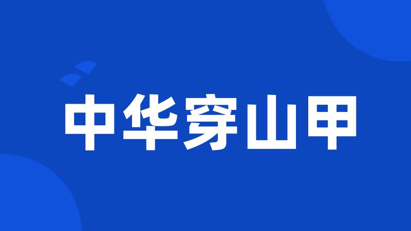 中华穿山甲