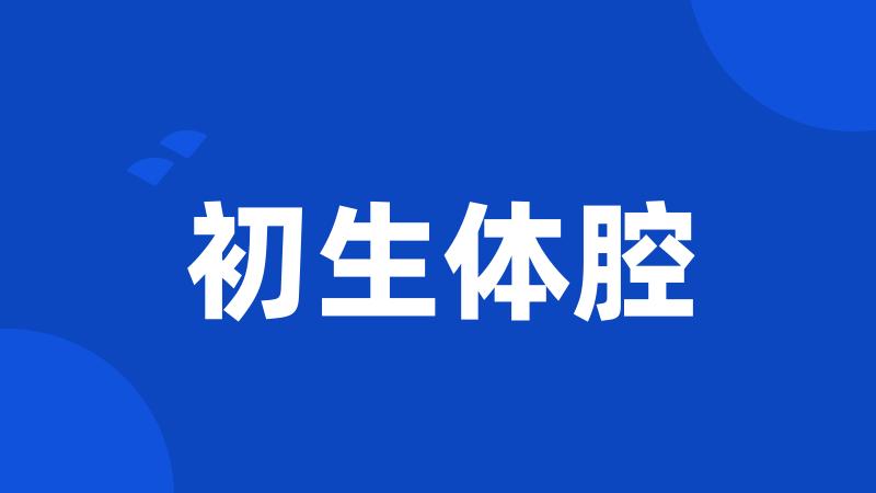 初生体腔