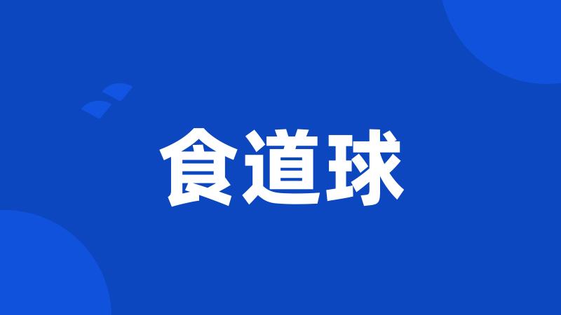 食道球