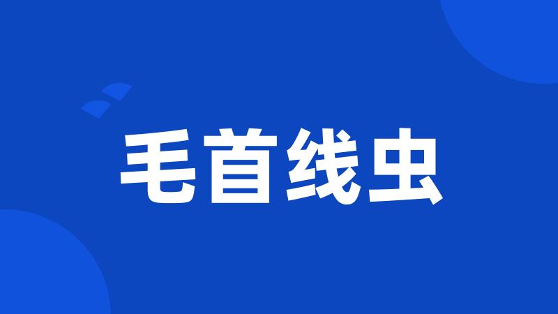 毛首线虫