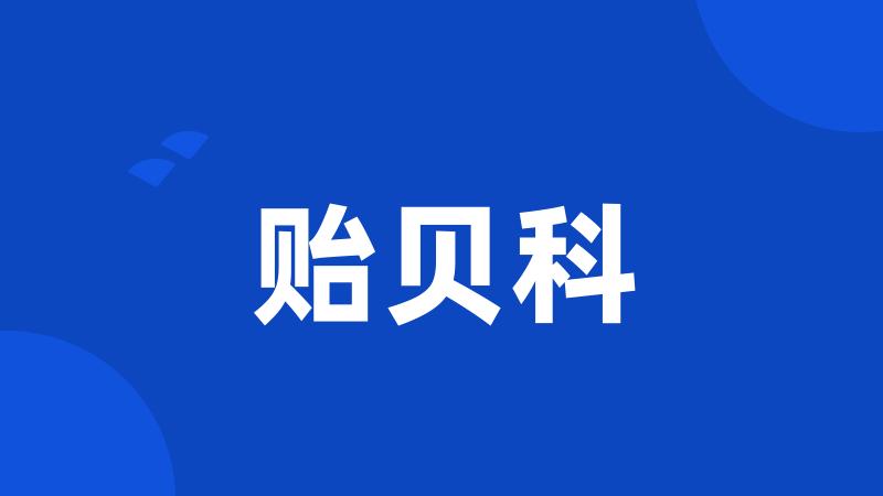 贻贝科