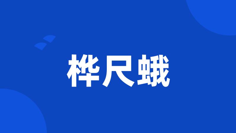 桦尺蛾