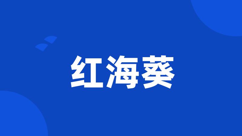 红海葵