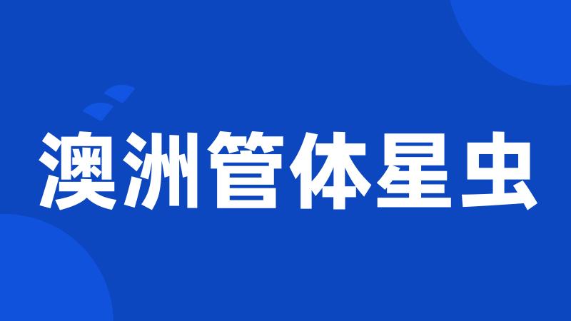 澳洲管体星虫