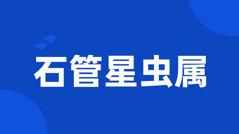 石管星虫属