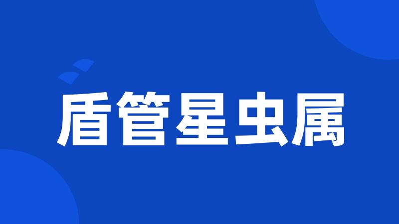 盾管星虫属