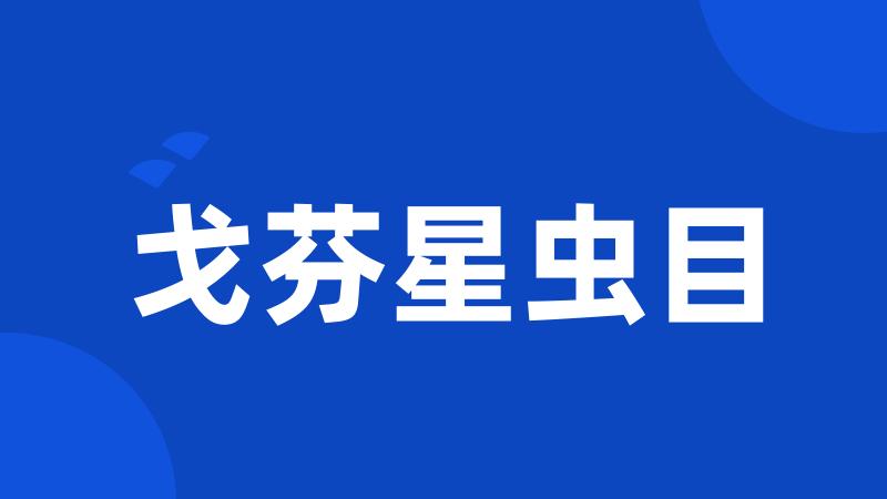 戈芬星虫目