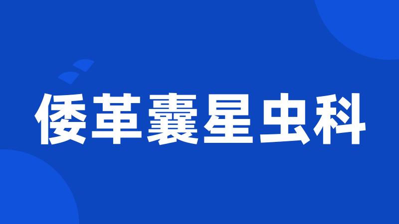 倭革囊星虫科