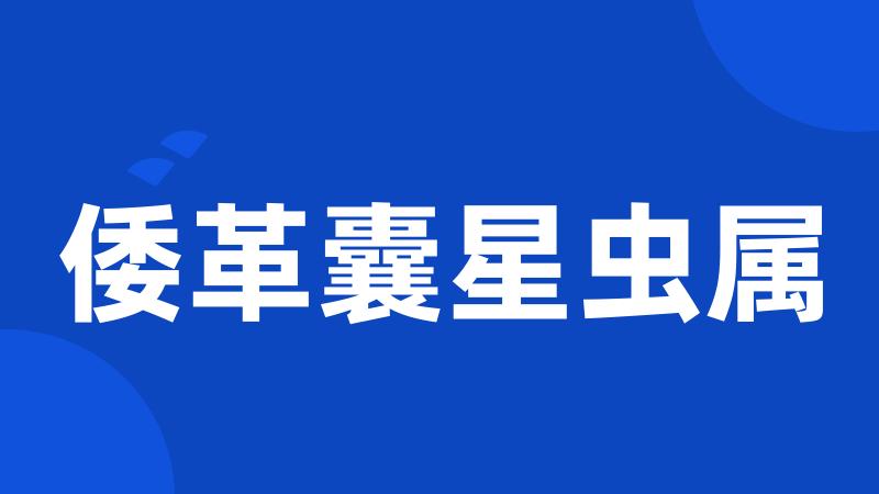 倭革囊星虫属