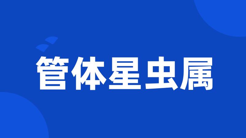 管体星虫属