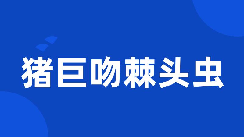 猪巨吻棘头虫