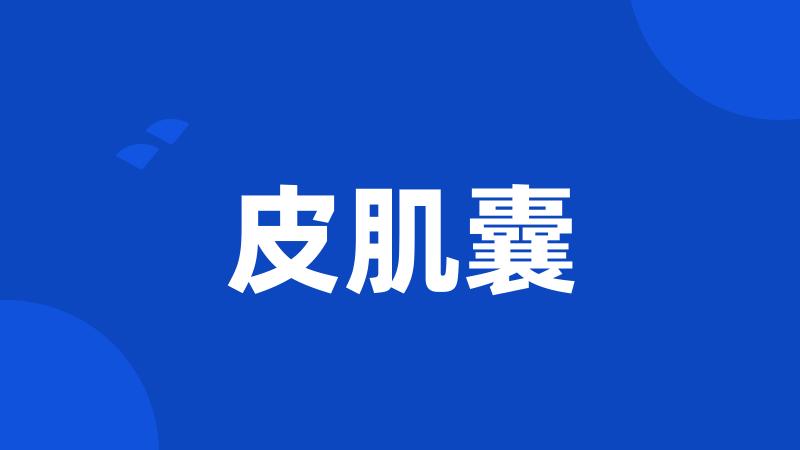 皮肌囊