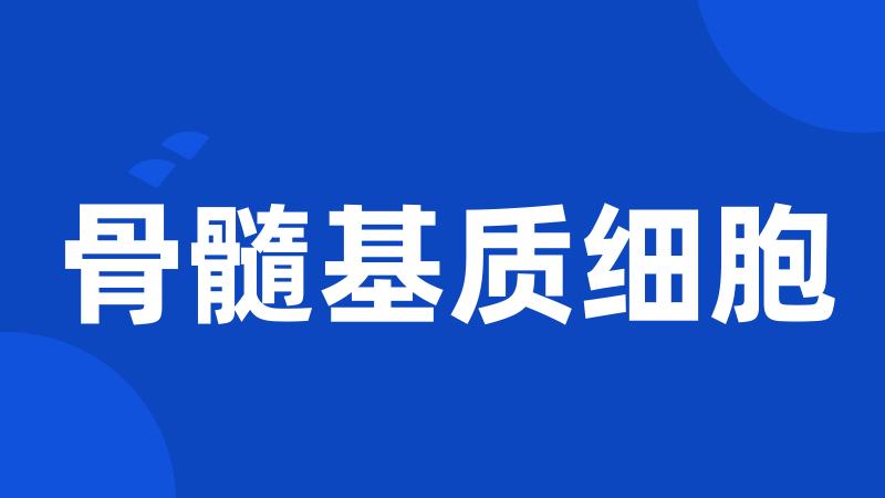 骨髓基质细胞