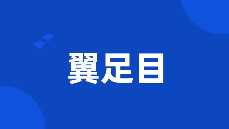 翼足目