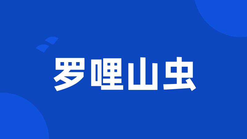 罗哩山虫