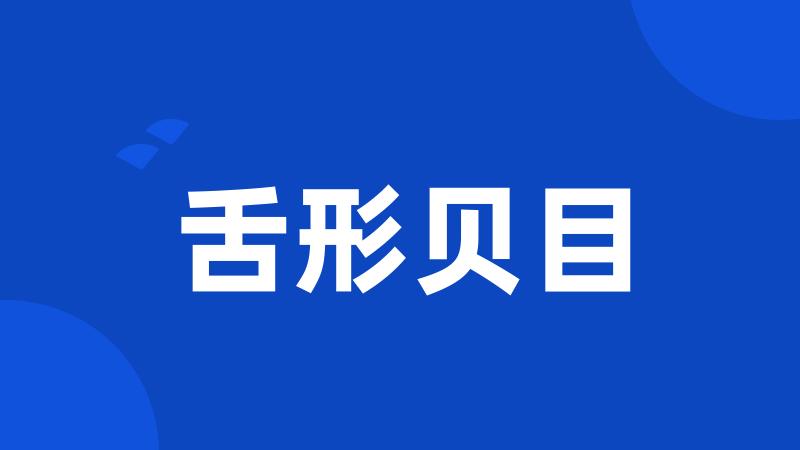 舌形贝目