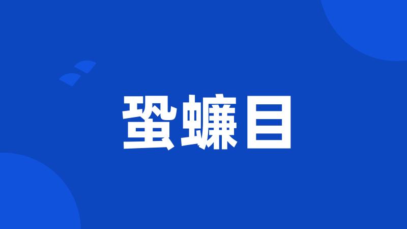蛩蠊目