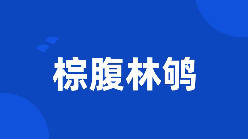 棕腹林鸲