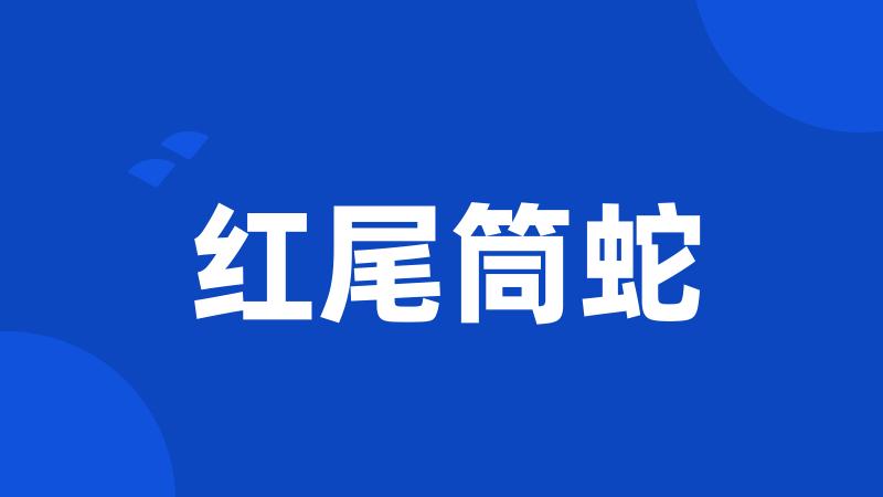 红尾筒蛇