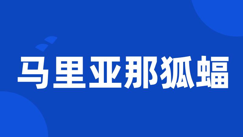 马里亚那狐蝠