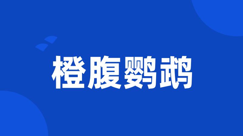 橙腹鹦鹉