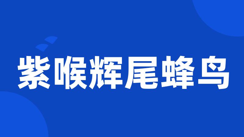 紫喉辉尾蜂鸟