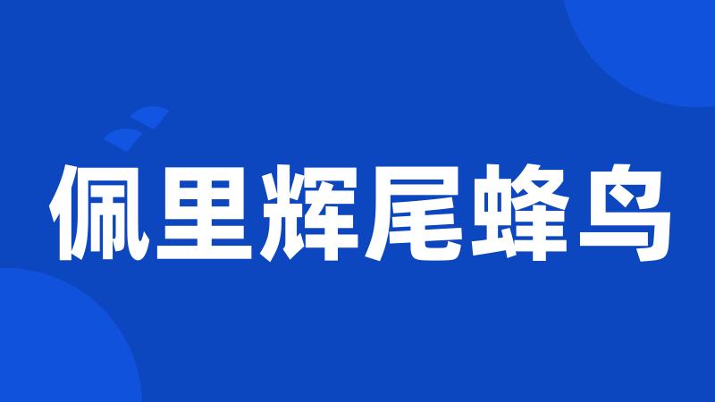 佩里辉尾蜂鸟