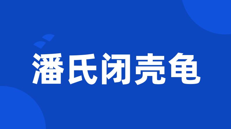 潘氏闭壳龟