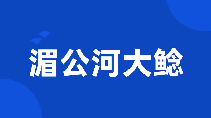 湄公河大鲶