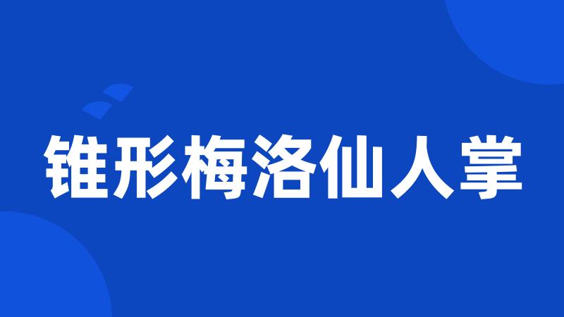 锥形梅洛仙人掌