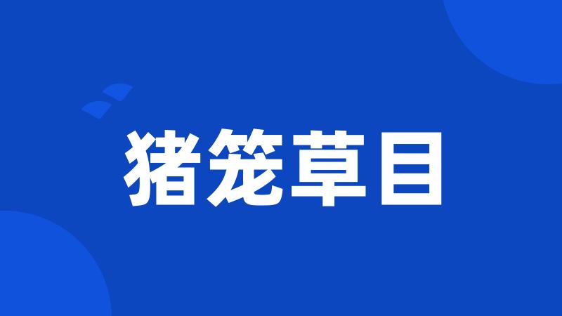 猪笼草目