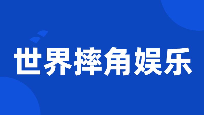 世界摔角娱乐