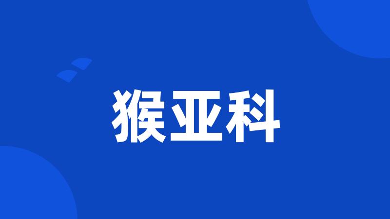 猴亚科