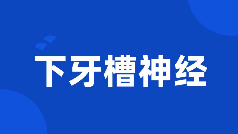 下牙槽神经