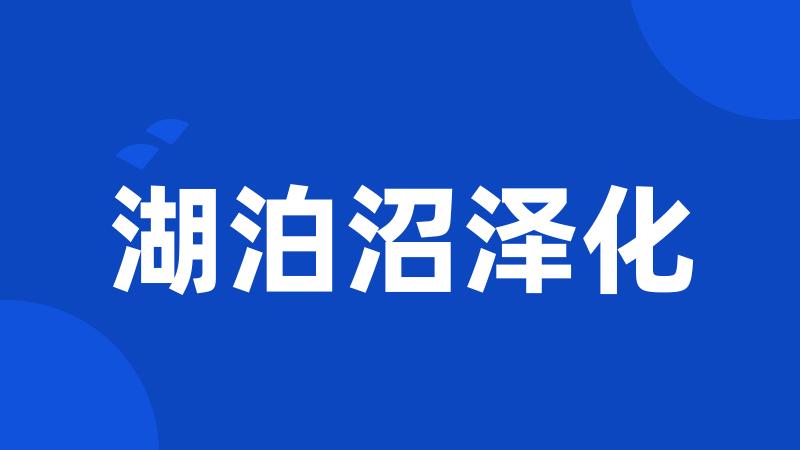 湖泊沼泽化