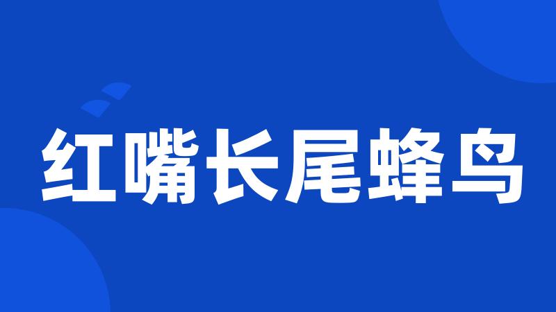 红嘴长尾蜂鸟