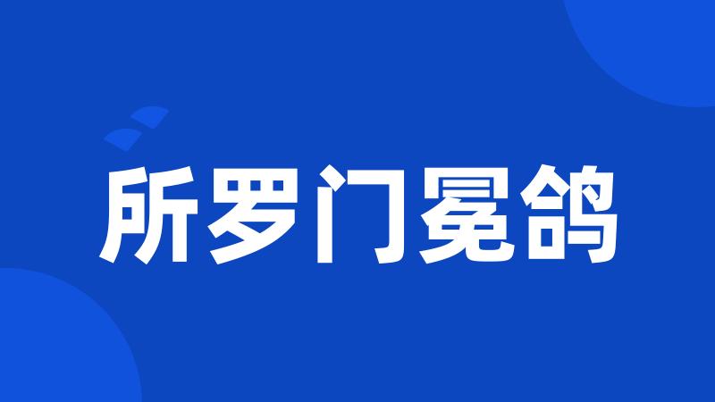 所罗门冕鸽