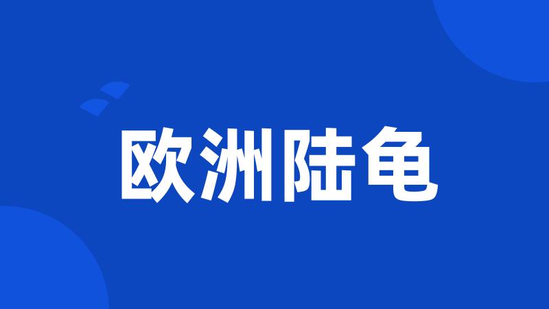 欧洲陆龟