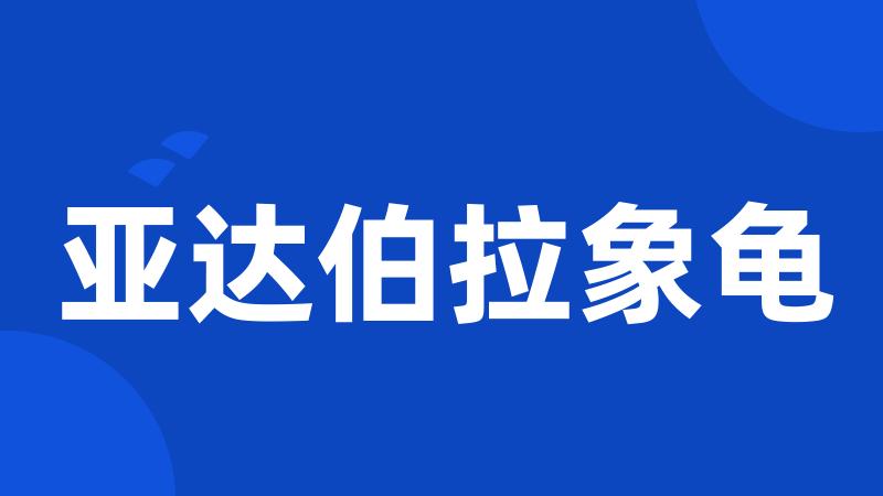 亚达伯拉象龟