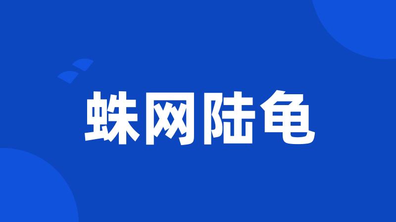蛛网陆龟