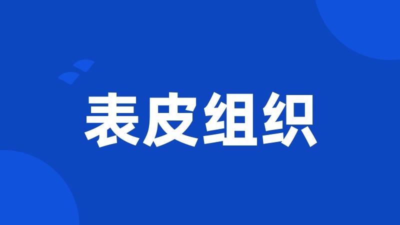 表皮组织