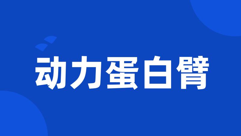 动力蛋白臂