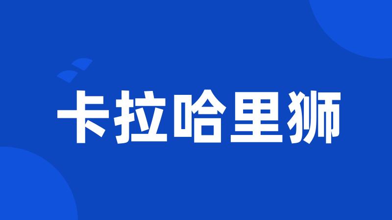 卡拉哈里狮
