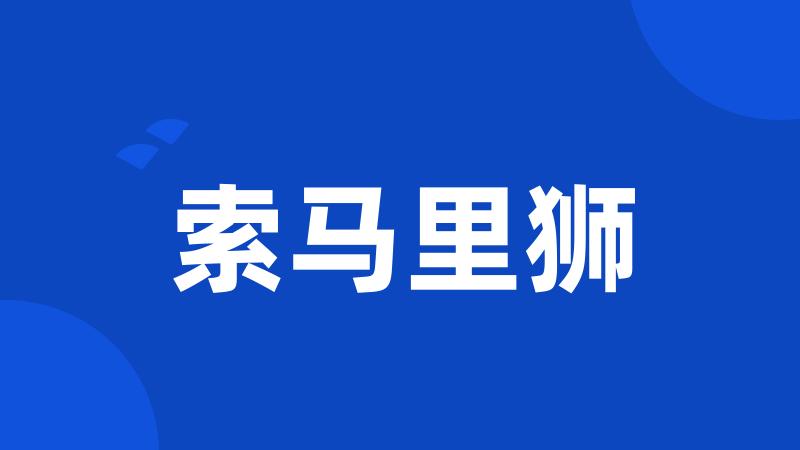 索马里狮