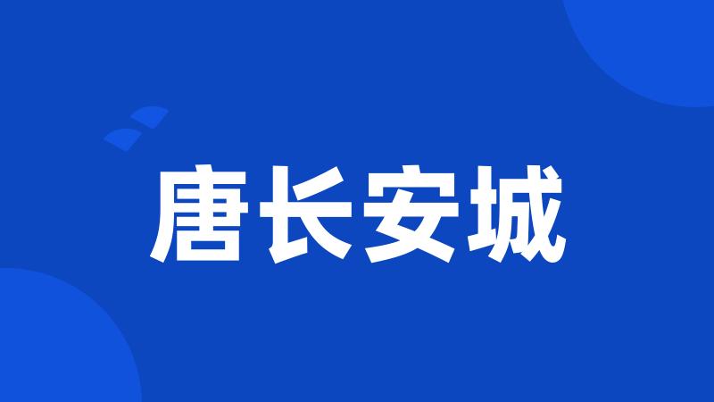 唐长安城