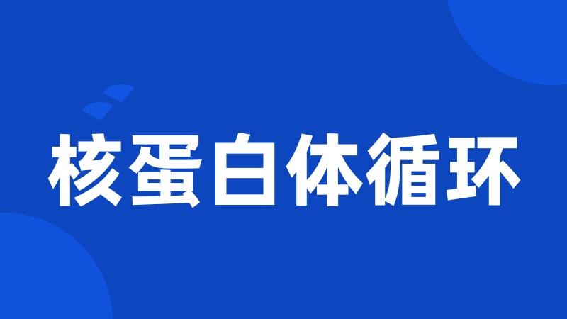 核蛋白体循环